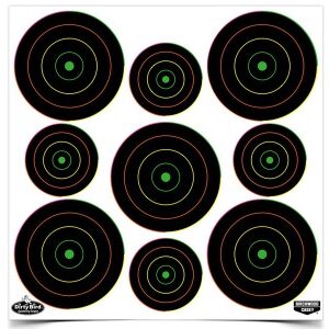 Birchwood Casey Dirty Bird Targets, 2" & 3" Targets, 180ct