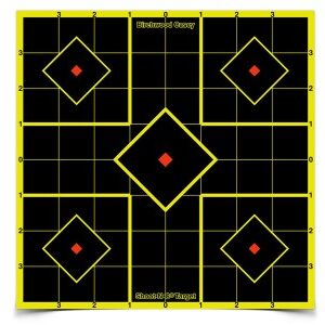 Birchwood Casey Shoot-N-C Sight-In Targets, 8" Square, 6ct