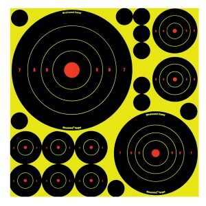 Birchwood Casey Shoot-N-C Variety Pack, 50 Bullseye Targets + 50 Pasters